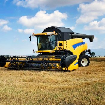 Case History_Bonifiche Ferraresi, Zootecnica 4.0: una soluzione di Smart Monitoring